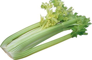 芹菜的做法大全,芹菜是一种营养丰富的蔬