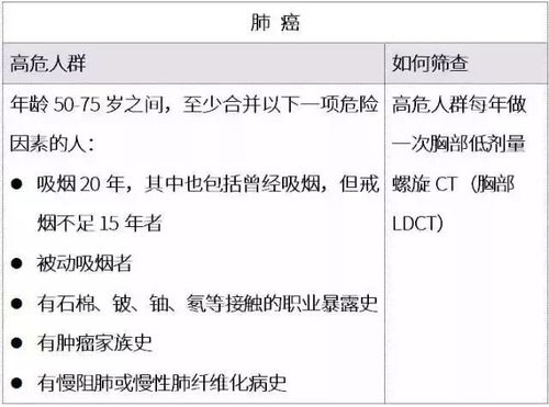 查重算法严格排名解析：如何避免内容抄袭