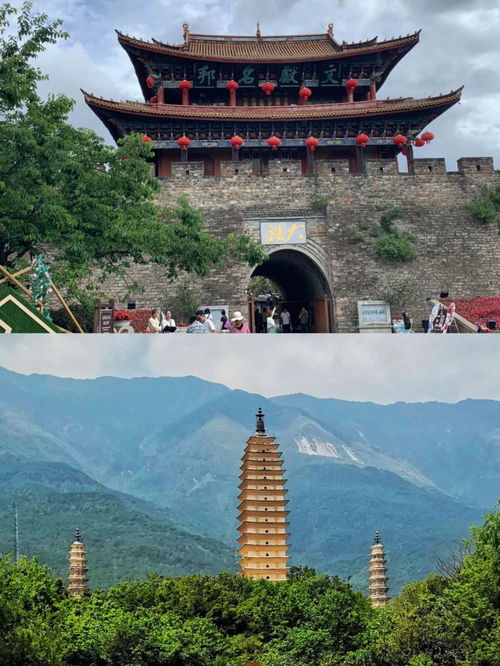 云南旅游为什么这么便宜(云南旅游为什么那么便宜)