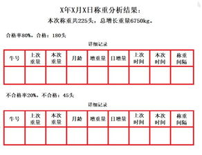 肉牛动态称重分析系统