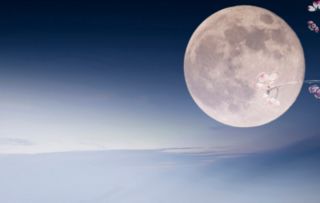 摘抄中秋节关于月亮的诗句