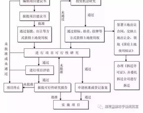 林业项目流程八个阶段