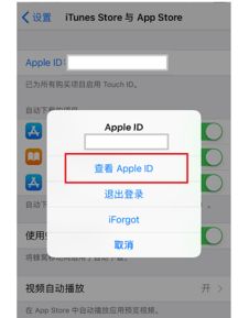 苹果商店怎么设置中文（appstore无法登录是什么）