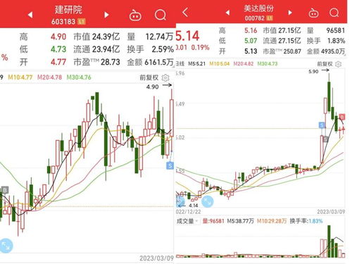 爽爽爽 花王大肉创新高,继续满仓就是干