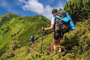 胖的人别爬山 