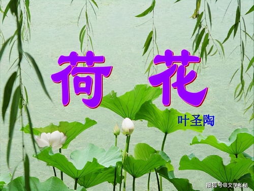 三年级作业中, 我忽然觉得自己仿佛就是一朵荷花 是不是比喻句