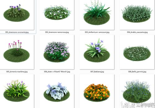 园林景观设计花草植物模型合集含材质贴图 