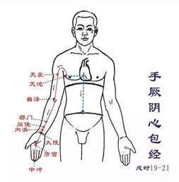 女性经络畅通排毒瘦身,关键的八个穴位