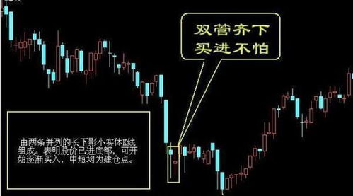 双管齐下中的双管是什么意思？