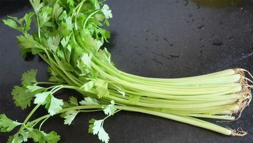 芹菜的做法,芹菜是一种营养丰富的蔬菜，