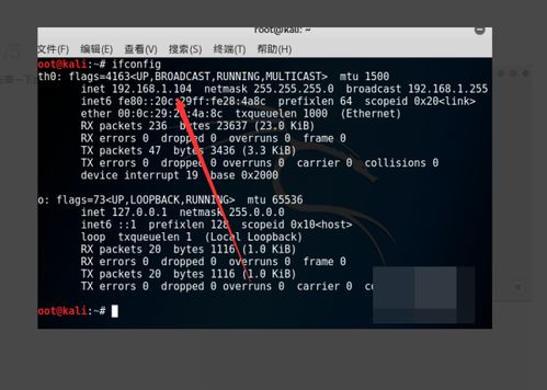 kali无法上网,kali官网中文版下载  第3张