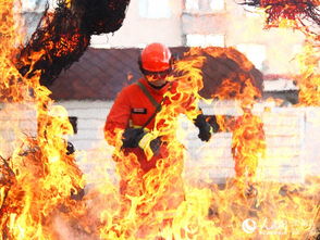 哈尔滨森林消防开展火场安全训练 上演现实版 穿越火线 