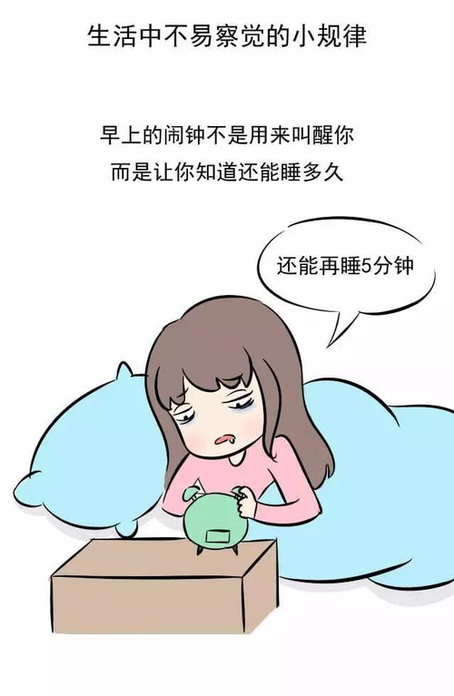 生活中不易察觉的小规律有那些 