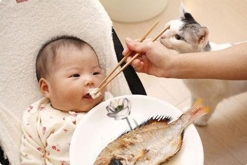 不建议给宝宝吃的鱼肉泥