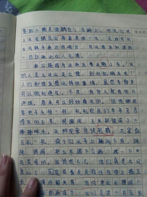 作文 经历过的一件事 700字 