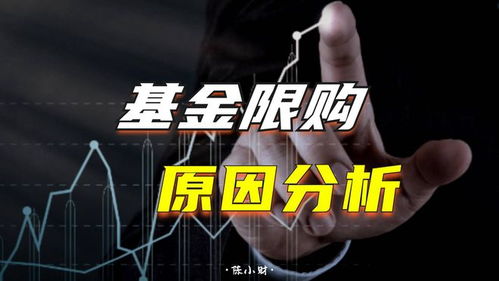 金鹰基金怎么样？值得买吗？