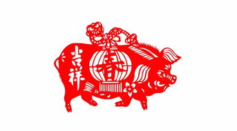 2019年猪宝宝起名金水,2019猪年宝宝取名字最佳字