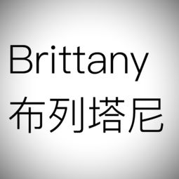 Brittany可以来当英文名用吗,它有含义吗,谢谢 