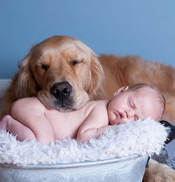 狗狗是宝宝最好的抱枕