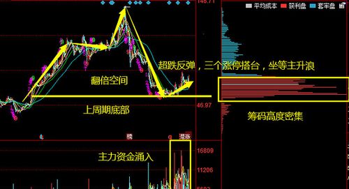 600236. 002144. 000554三只股票的走势？