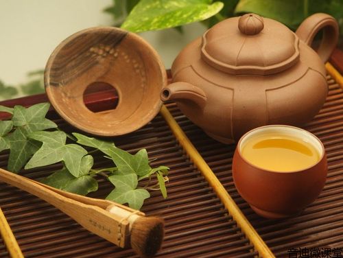 上海品茶500【上海品茶喝茶工作室】