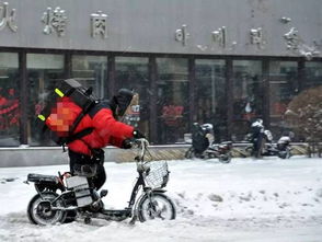 我大沈阳就这么任性,七九下暴雪 更出乎意料的是