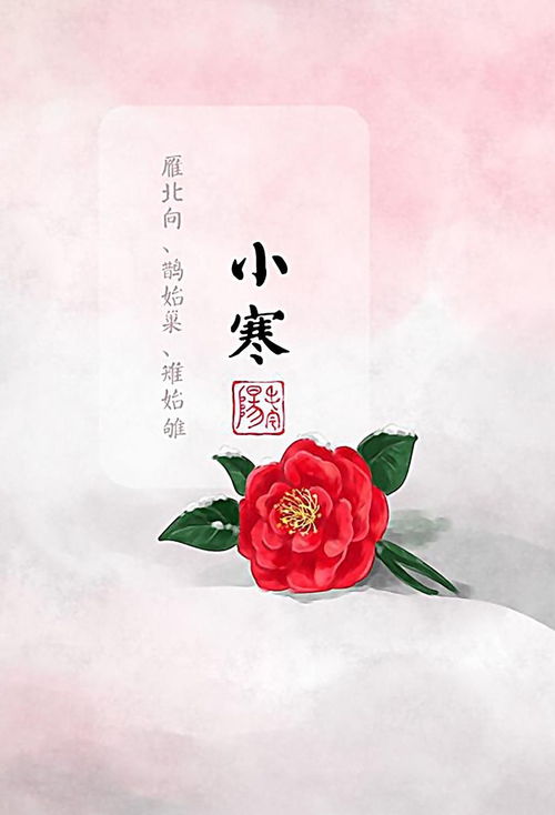 韶光 今日小寒,心暖是慢城