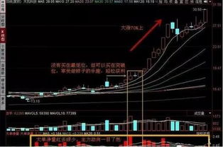 macd结合大单净量可以初步判断股票的走势吗