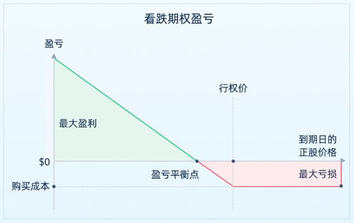 美股的期权怎么玩的