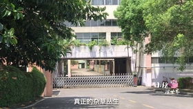 实拍厚街将军岭工业区,不超过50岁的都要,没看见一个人找工作