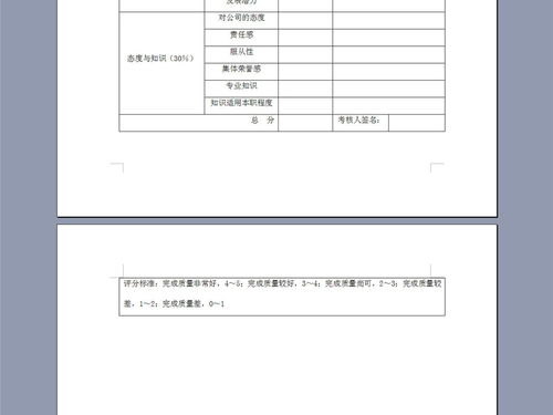 员工打分方案模板(员工打分表模板)