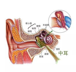 当心耳鸣最易引发的5种并发症