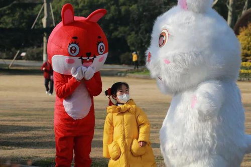 与萌兔零距离接触 2023年上海动物园兔年生肖文化系列活动开幕