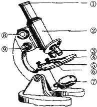 用显微镜观察材料时,当你发现镜头不清洁时,除去 污物的正确方法应该是 A 用手擦 B 用纱布擦 C 用绒毛擦 D 用擦镜纸擦 3下列部件中对物体起放大作用的一组是 