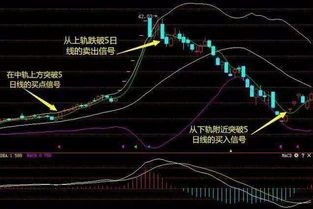 股票5日线指的啥？