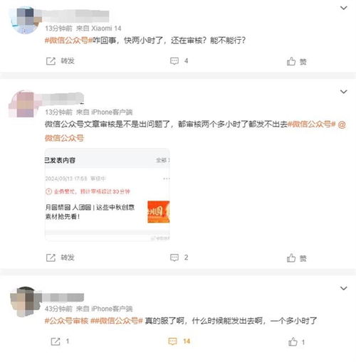 浦发一直审核中是在玩你,揭秘浦发信用卡审核中的那些“迷雾”