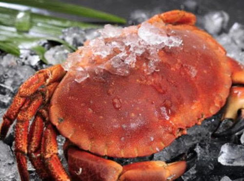 全球 最有名 的4种螃蟹,尤其是中国的一种,几乎是一蟹难求