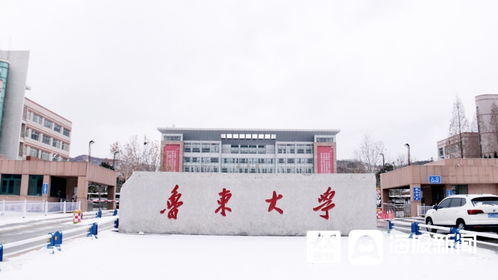 鲁东大学小学教育在哪个学院