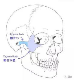 科普 秋瓷炫 宋慧乔成冻龄新娘全因苹果肌 其实有的人苹果肌饱满更丑 ...