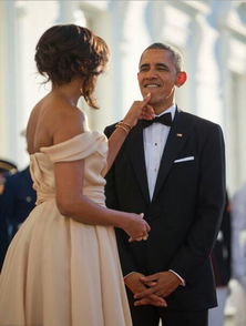 米歇尔 奥巴马当8年总统只穿一套礼服 组图 
