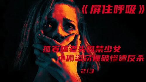 孤寡瞎老头囚禁少女,小偷盗窃撞破惨遭反杀 第二集 