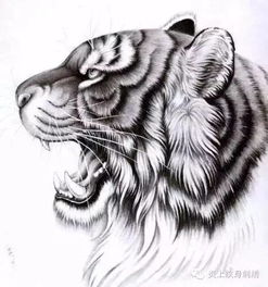纹身 ▏老虎图案