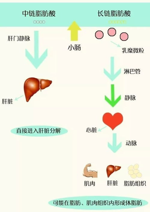 比分子更小的是什么