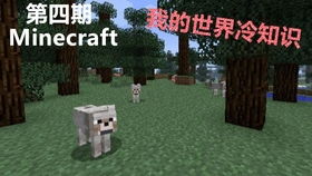 飞向天空 我的世界冷知识第三期Minecraft