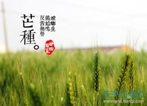 2017芒种节气养生 芒种应该如何养生