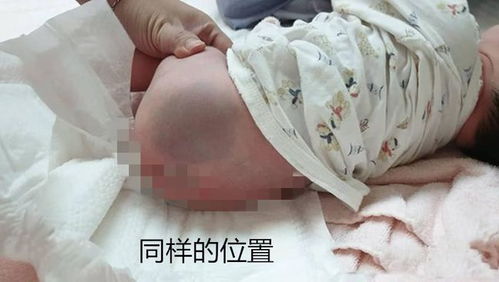 孕妇梦见离世爱猫树下读书,2个月后生双胞胎,一看孩子泪流不止