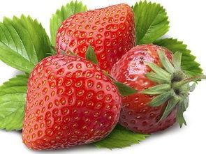 三岁小孩可以吃草莓吗