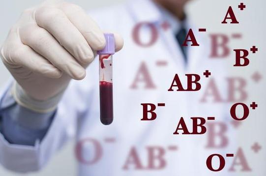 O型血的人身体素质好 提醒 O型血的人或有这几个缺点,要多注意