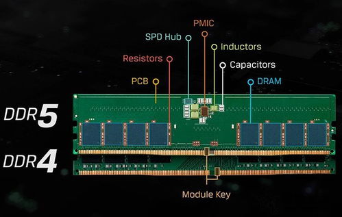 DDR4和DDR5内存打游戏区别大吗 DDR4和DDR5内存区别与选购建议