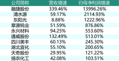 当一家公司的季度业绩呈现出增长时，这通常意味着公司在其核心业务上取得了进展。这种增长可能是由于销售收入的增加、成本控制的改善、市场份额的扩大，或者是新产品的成功推出。增长的业绩能够为公司带来更多的资金，从而支持进一步的扩张和投资，推动公司向更高的目标迈进。